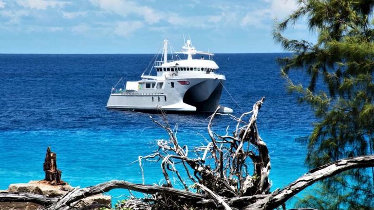 silhouette cruises - my basilisk-01.jpg