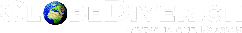 globediver_logo_neg.png